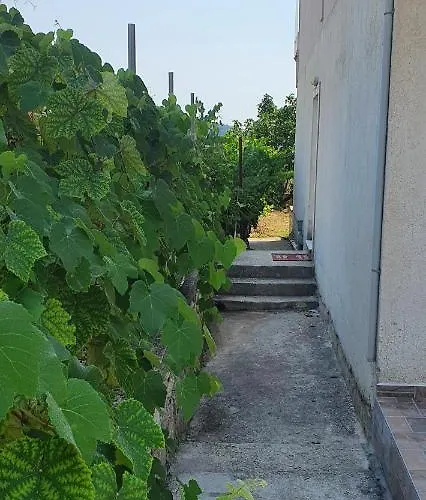 Margaret's 아파트