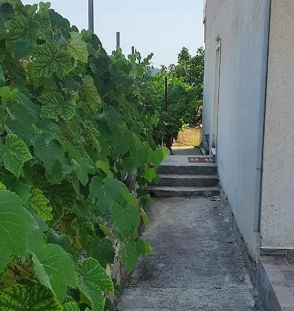 Margaret's Apartmán